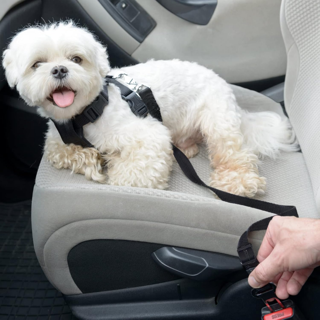 PawSecure – Verstelbare Autogordel voor Veilige Hondentransporten
