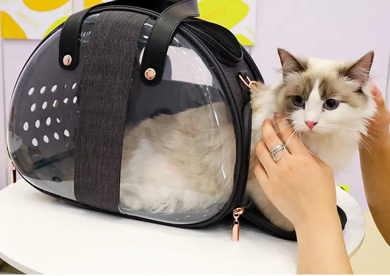 PawVoyage – Transparante Kattenrugzak met Ventilatie
