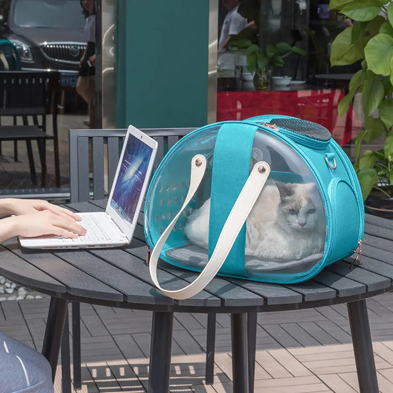 PawVoyage – Transparante Kattenrugzak met Ventilatie