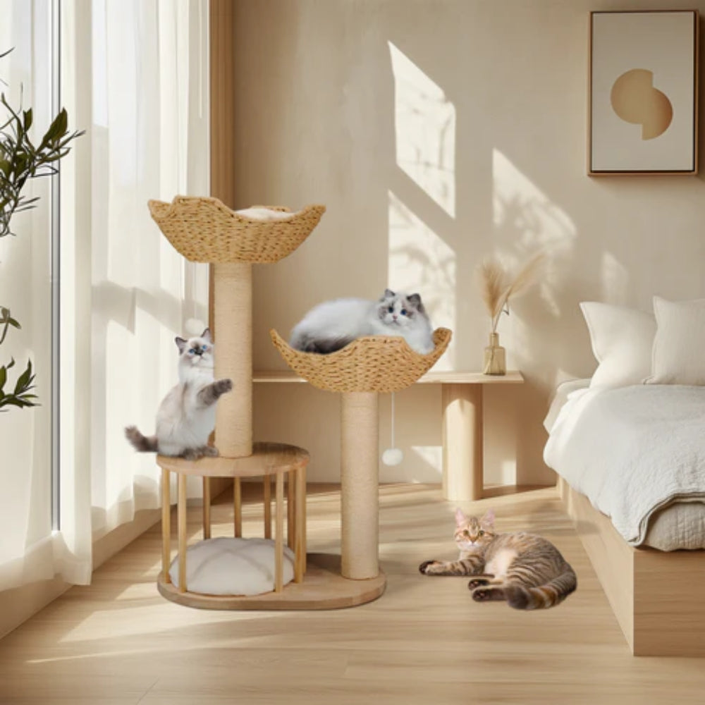 WeaveNest – Luxe Kattenboom met Meerdere Verdiepingen, Krabpalen en Zachte Ligbedden