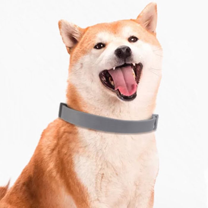 AnimalProtect – Vlooienband En Anti-Teken Halsband voor Honden