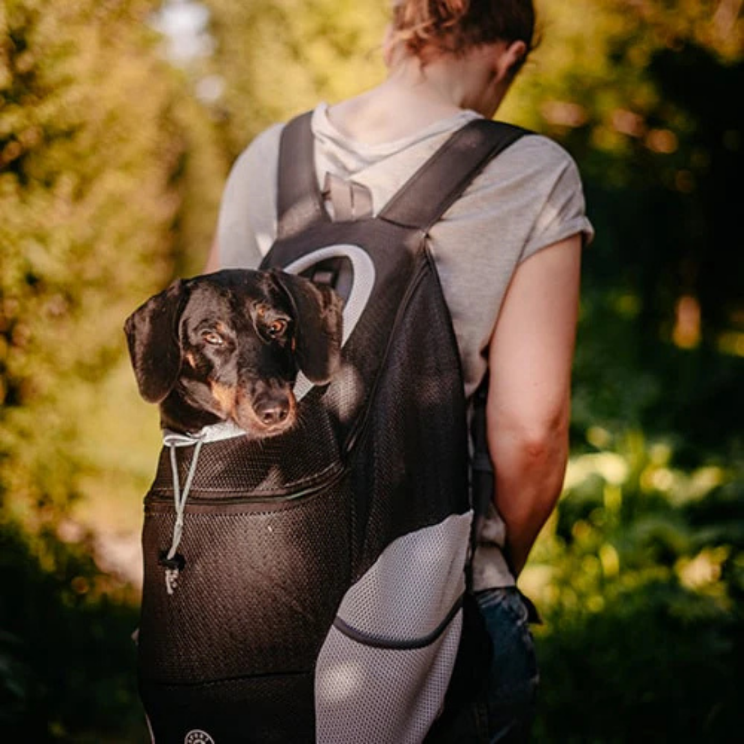 BackCarry – Comfortabele Handsfree Draagtas voor Kleine Honden